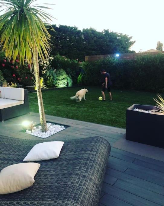 Maison De Vacances Contemporaine Avec Piscine Villa Vedène Kültér fotó